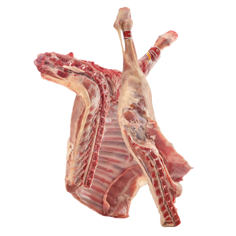 MEDIO LECHAZO | Cordero Lechal de -35 días | prebare.arcecarne.sdi.es
