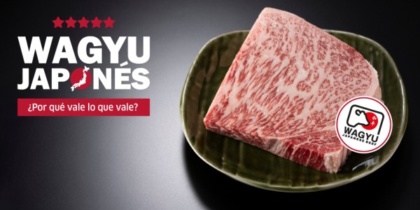 ¿Qué es la carne de wagyu japonés?